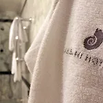 阿尔巴尼福罗伦萨酒店 4*